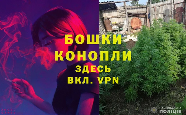 бутират Мегион
