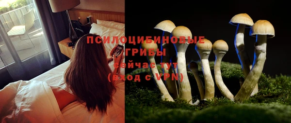 прущие крисы Магас