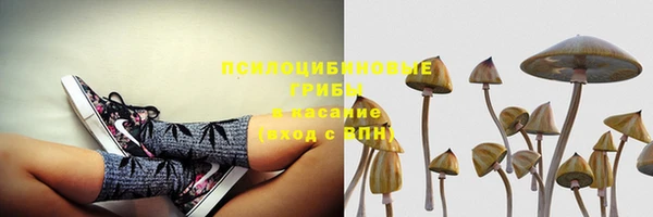 дживик Магадан
