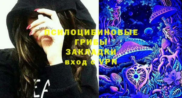 спиды Медногорск