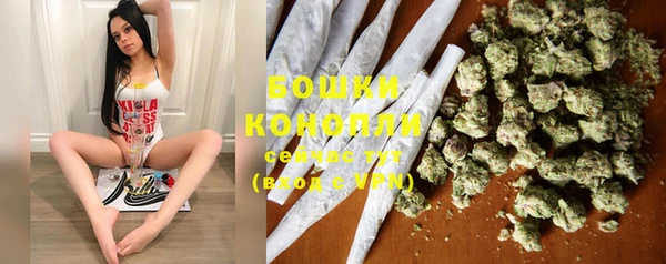 прущие крисы Магас