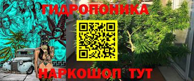 твердый Кингисепп