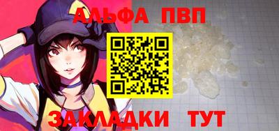 твердый Кингисепп