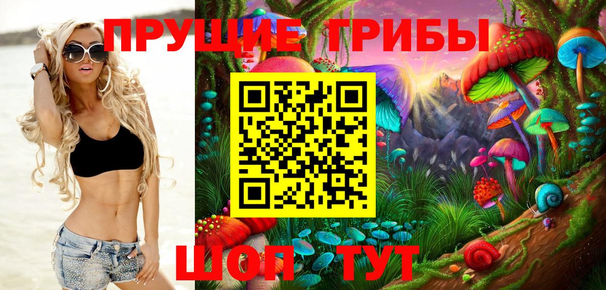Псилоцибиновые грибы Cubensis Можайск