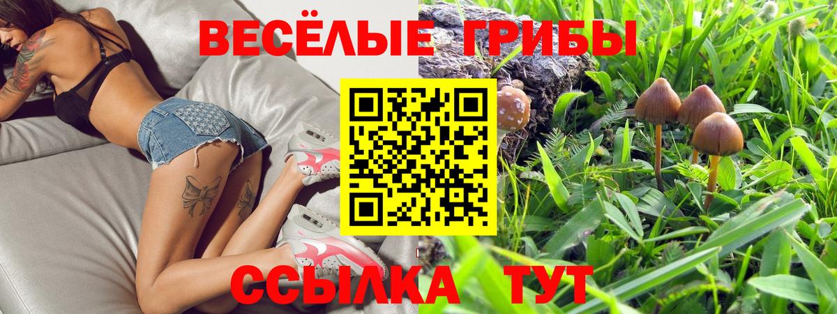 Псилоцибиновые грибы прущие грибы  Вход с VPN  Псилоцибиновые грибы Cubensis  Можайск 