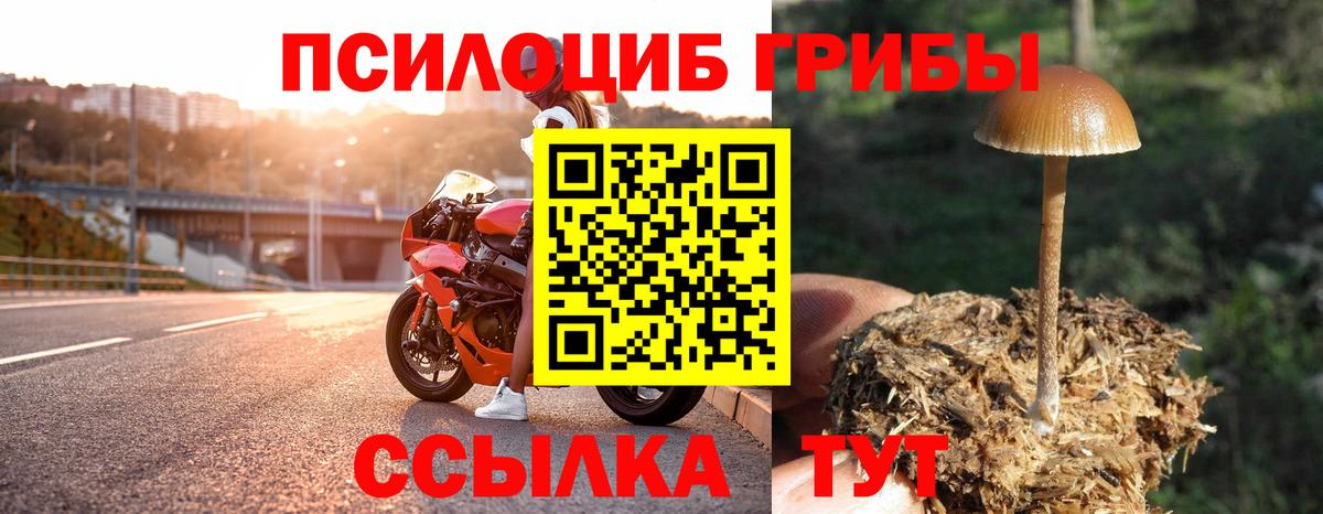 Галлюциногенные грибы мицелий  Можайск 