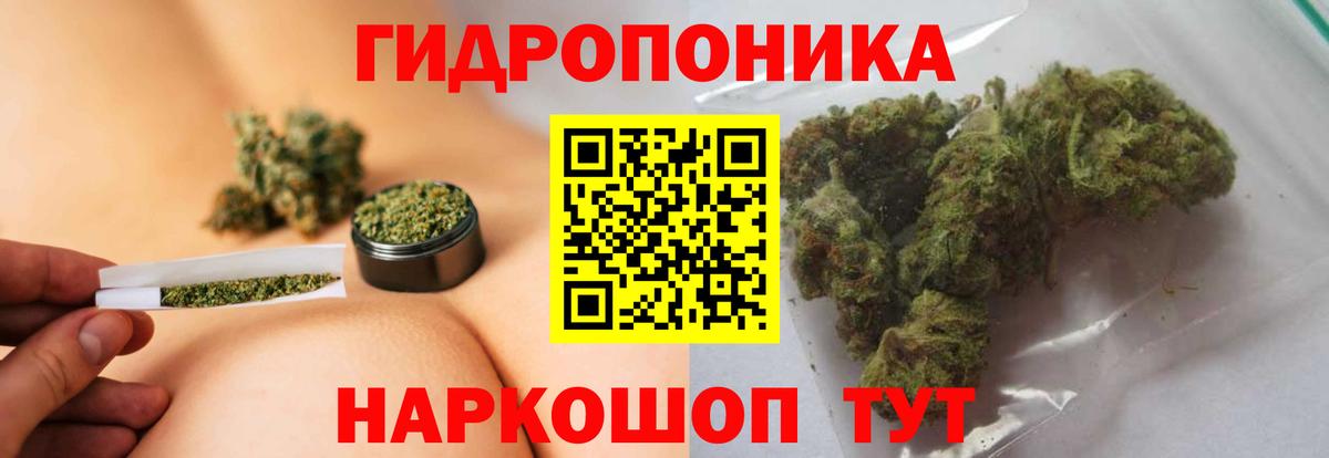 Канабис планчик  Бошки Шишки марихуана  Канабис Bruce Banner  Вход с VPN  Можайск 